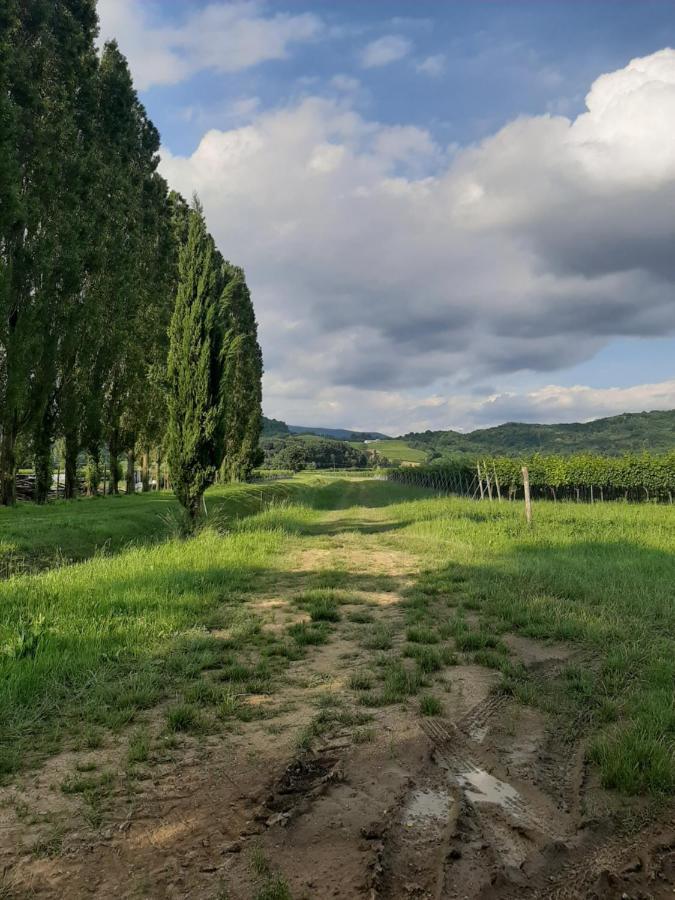 Casa Villa Gorizia Exteriér fotografie